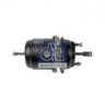 RENAULT 5001848603 Spring-loaded Cylinder